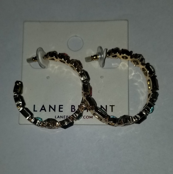 Gorgeous Multicolored Gem Earrings Lane Bryant - Picture 2 of 4